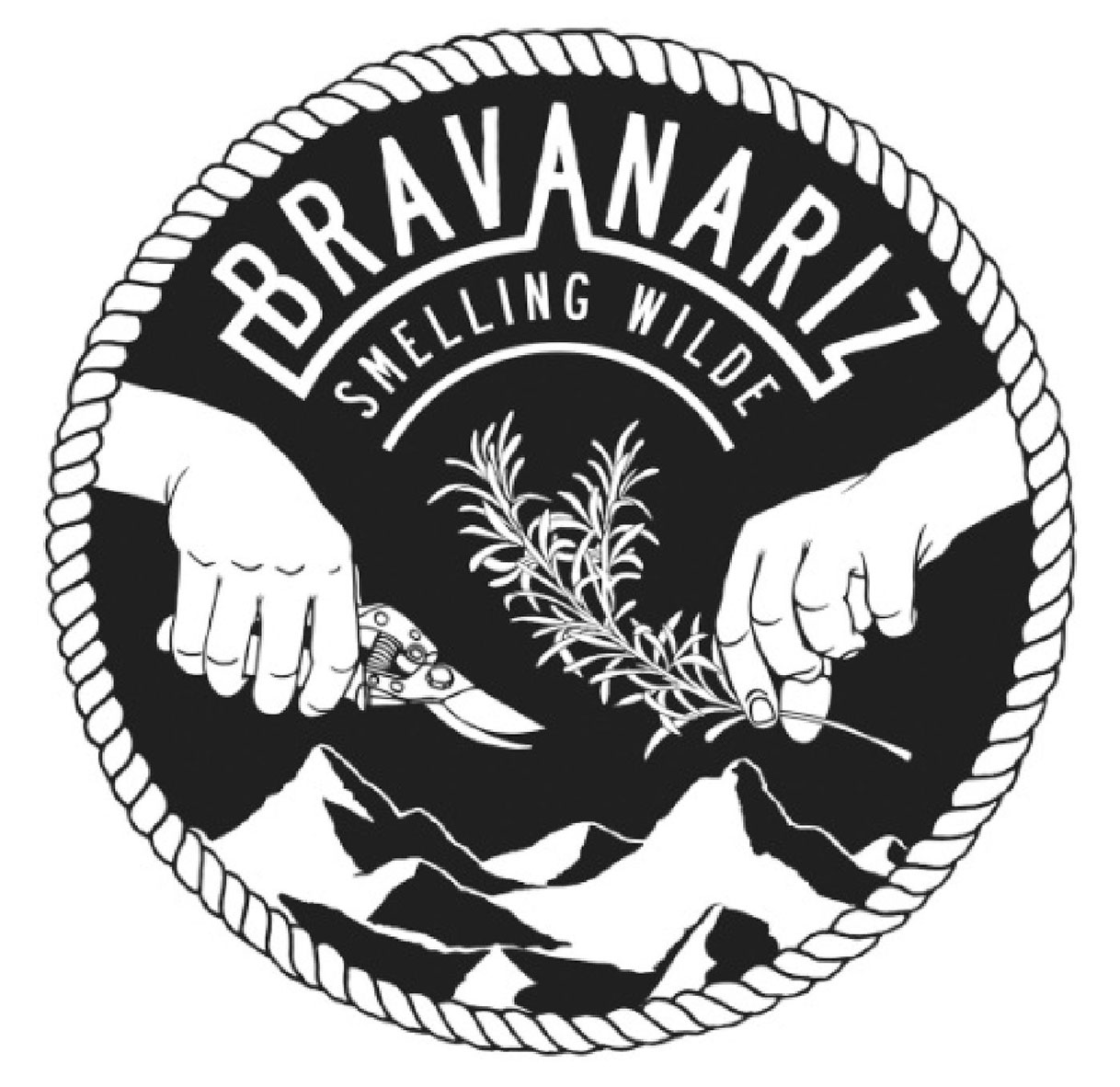 Bravanariz