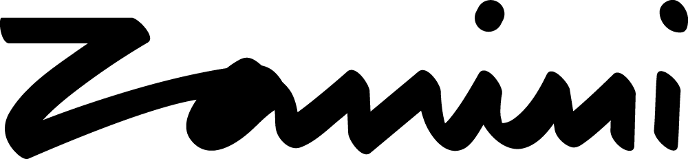 Zanini