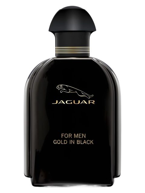 Jaguar For Men Gold in Black