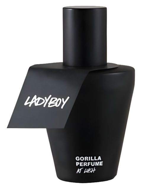 Ladyboy