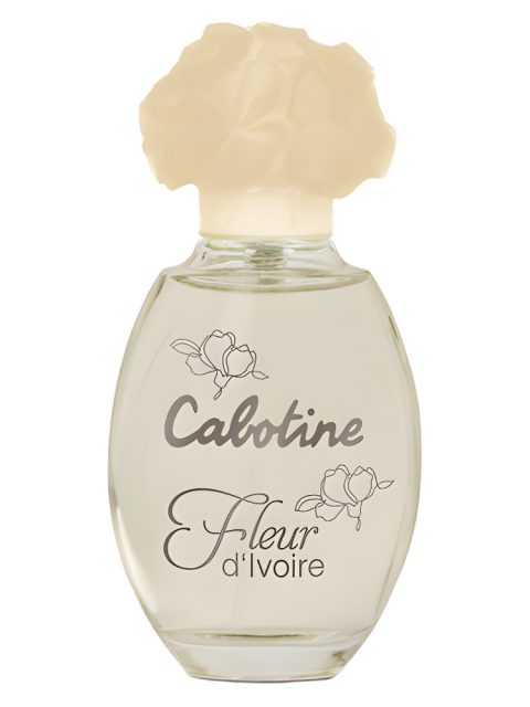 Cabotine Fleur d’Ivoire