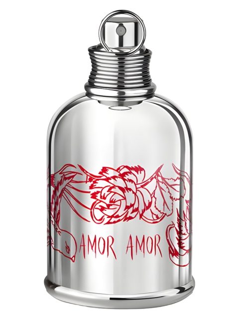 Amor Amor by Lili Choi