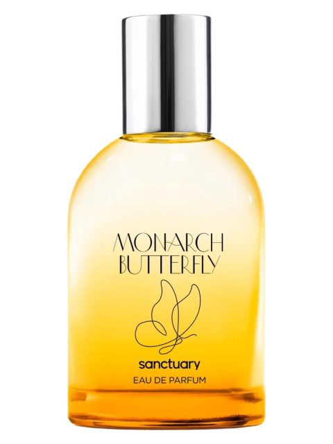 Monarch Butterfly