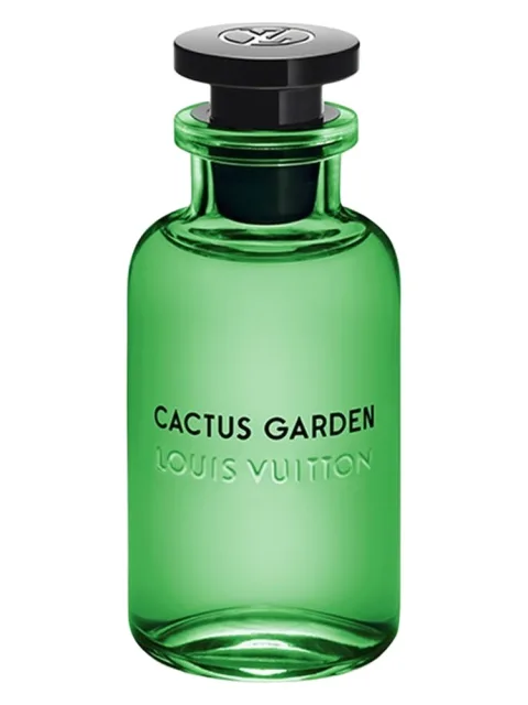Cactus Garden