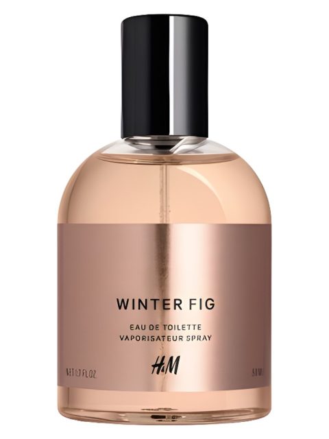 Winter Fig