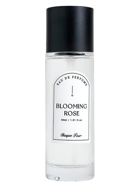 Blooming Rose