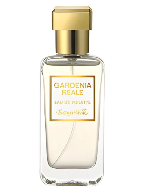 Gardenia Reale