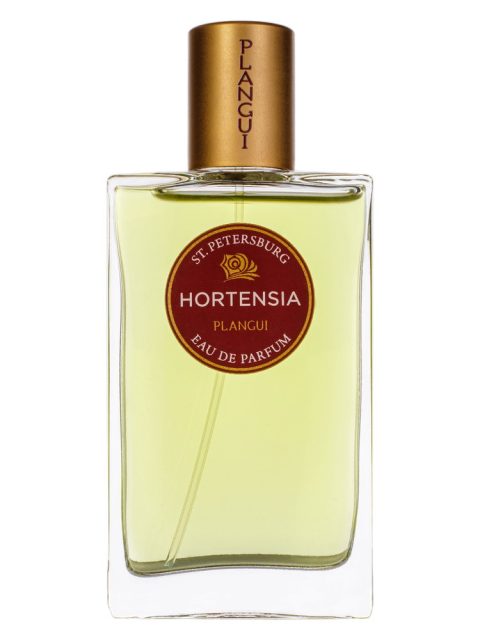 Hortensia Гортензия