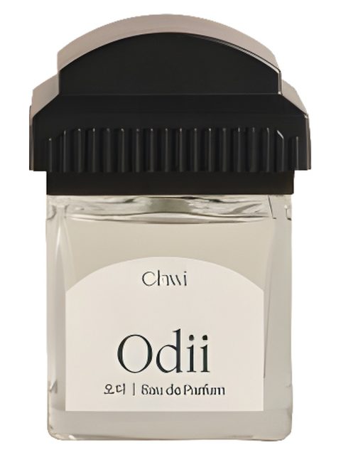 Odii 오디