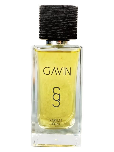 Gavin