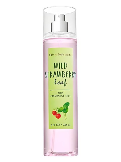 Wild Strawberry Leaf