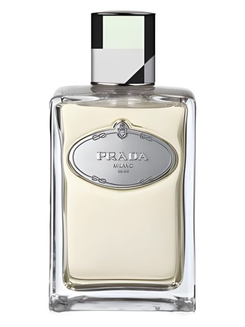 Infusion de Vetiver