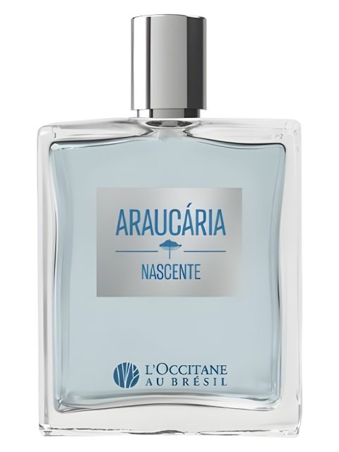 Araucária Nascente