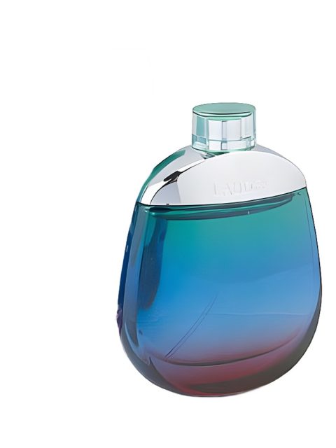 Beyond Paradise For Men