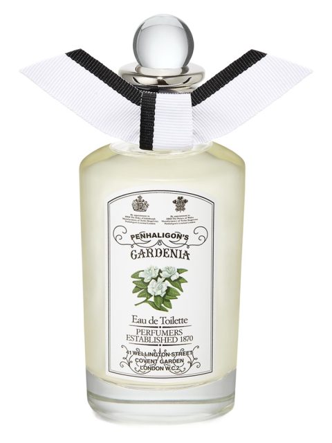 Gardenia