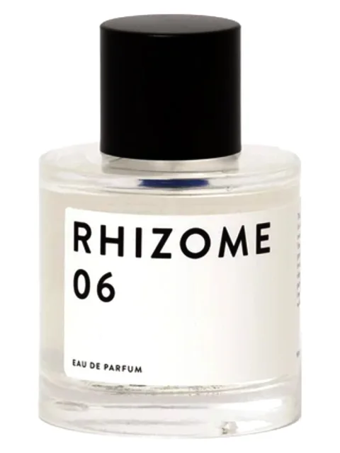 Rhizome 06