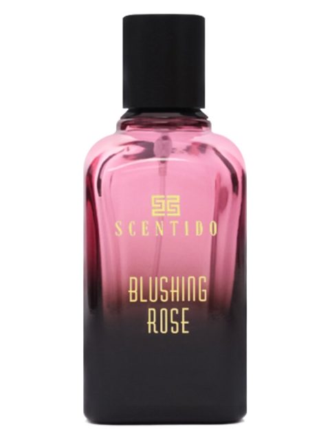 Blushing Rose