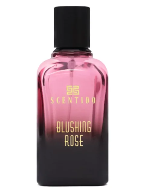 Blushing Rose