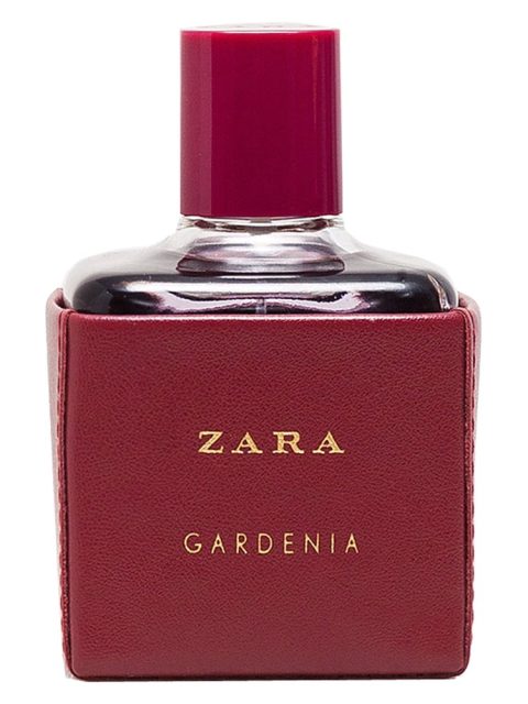 Zara Gardenia 2016
