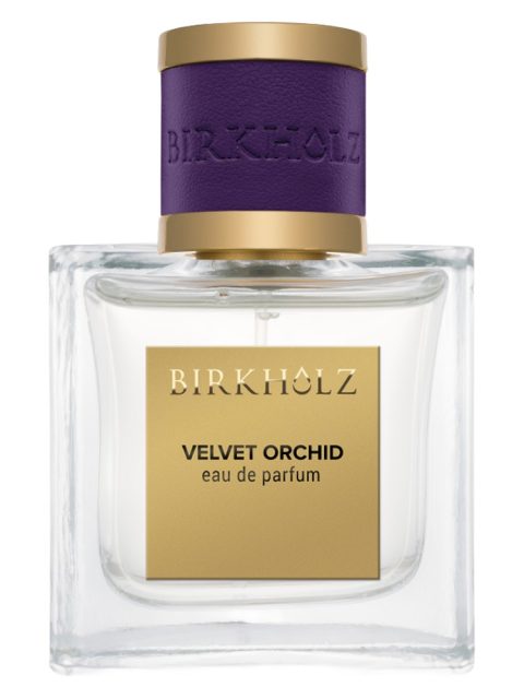Velvet Orchid