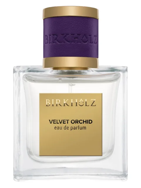 Velvet Orchid