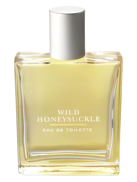 Wild Honeysuckle