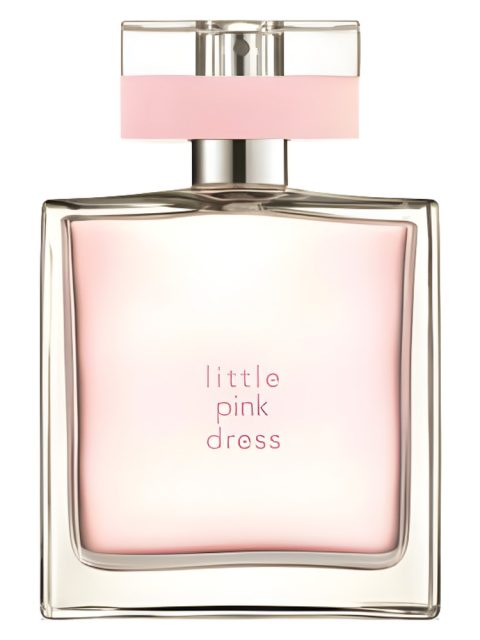 Little Pink Dress