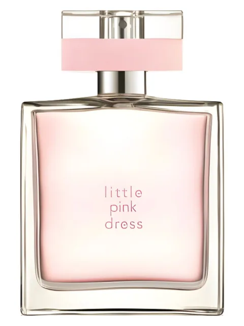 Little Pink Dress