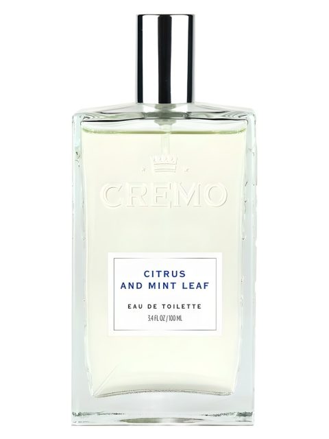Citrus and Mint Leaf