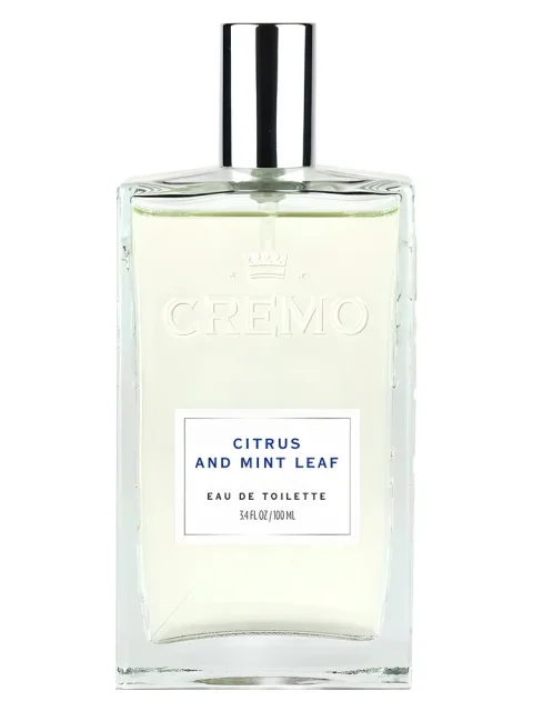 Citrus and Mint Leaf