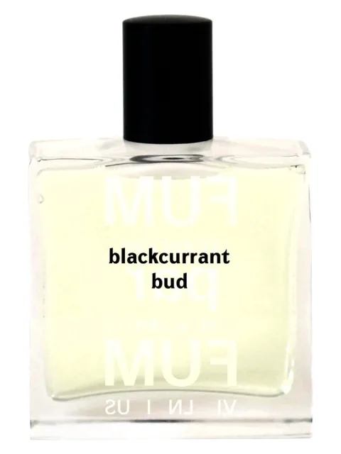 Blackcurrant Bud