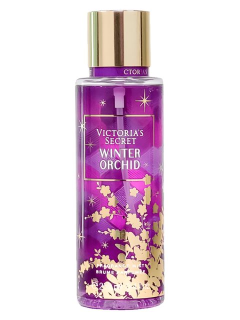 Winter Orchid