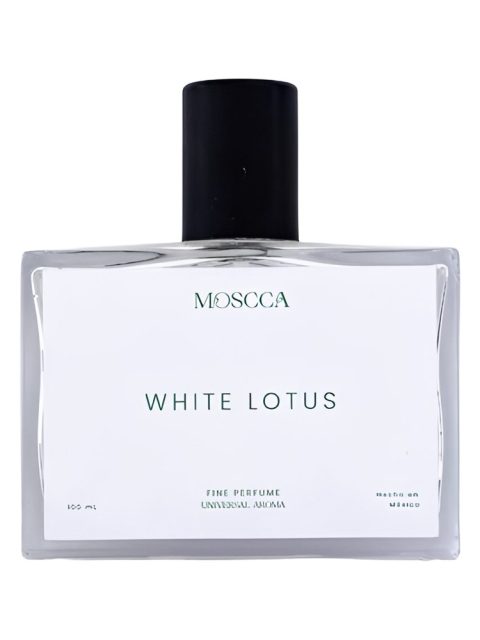 White Lotus