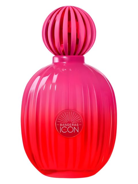 The Icon Supreme for Women