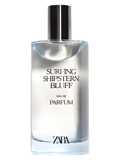 Surfing Shipstern Bluff