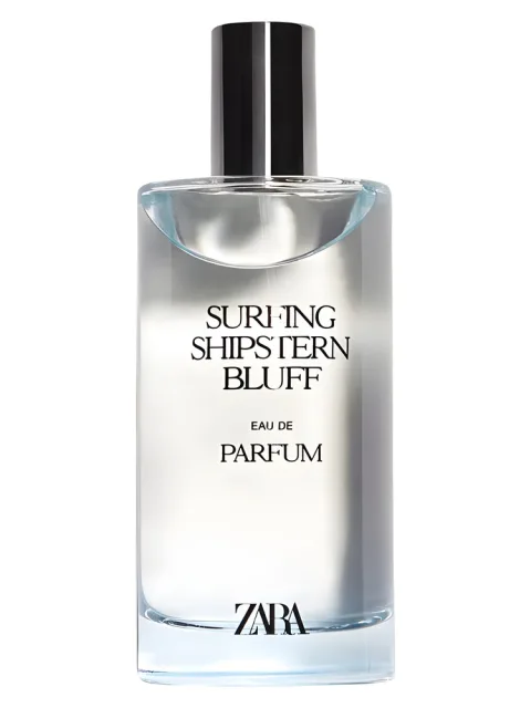 Surfing Shipstern Bluff