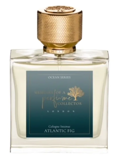 Atlantic Fig