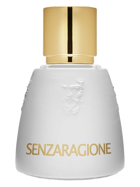 Senzaragione