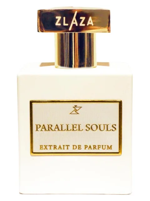 Parallel Souls