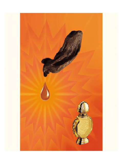 Shatha Al Oudh