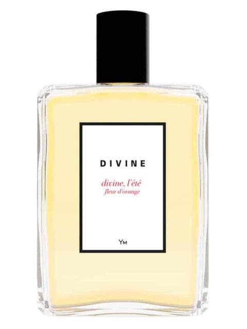 Divine, l'été fleur d'orange