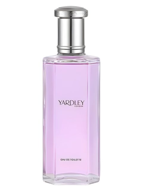 April Violets Contemporary Edition