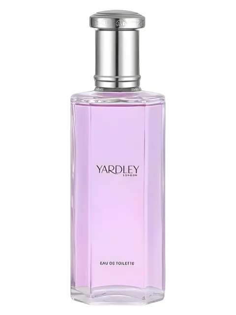 April Violets Contemporary Edition