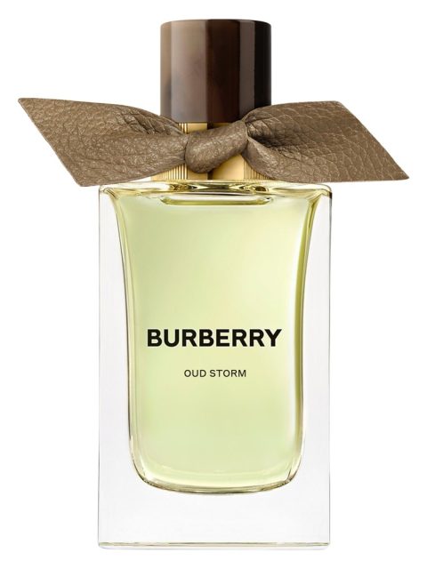 Oud Storm