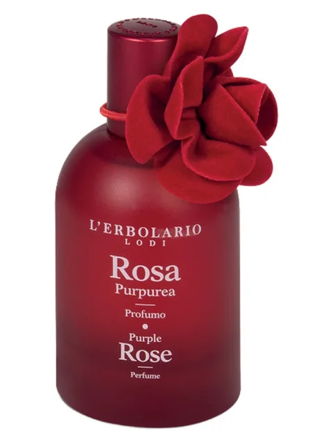 Purple Rose - Rosa Purpurea