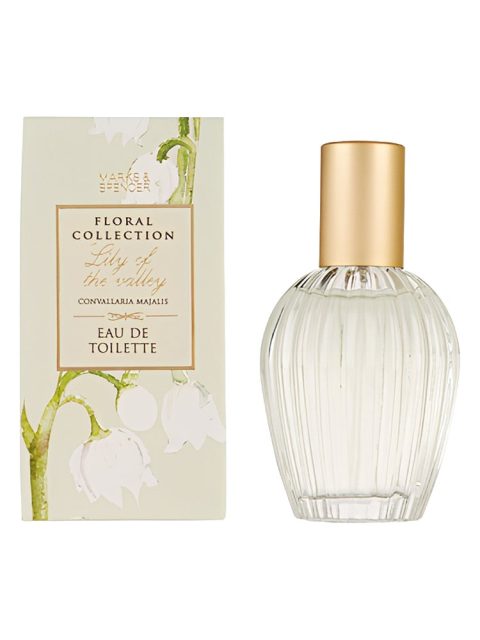 Lily of the Valley