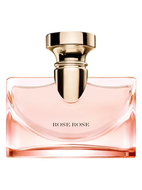 Splendida Rose Rose