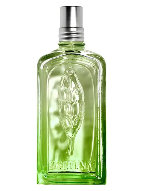 Verveine Cactus