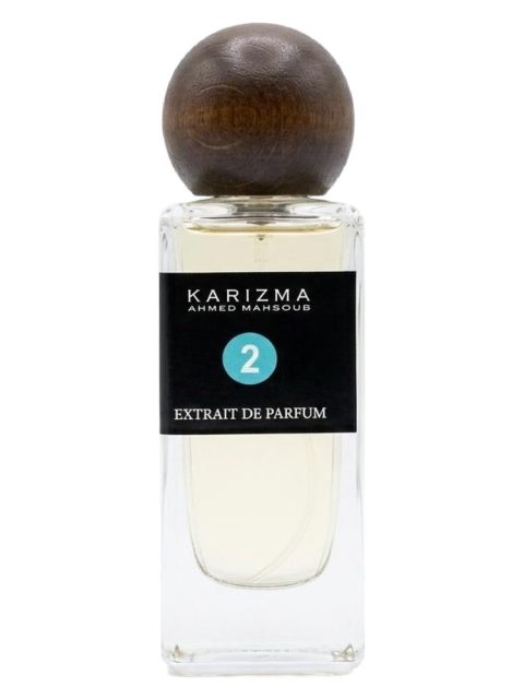 KARIZMA 2
