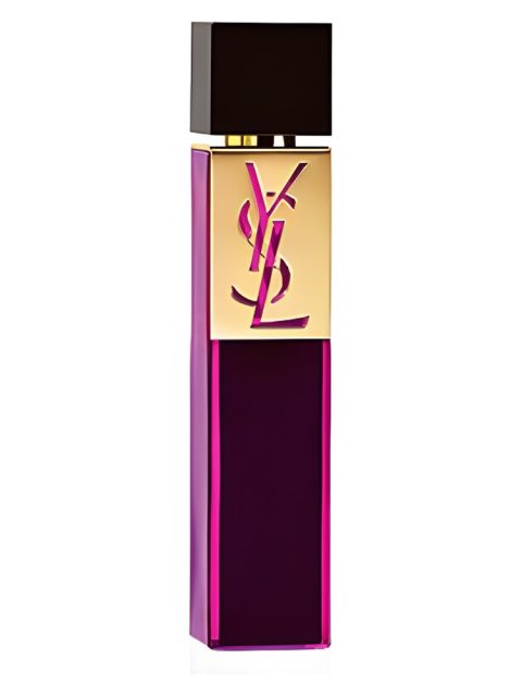 Elle Intense Eau de Parfum